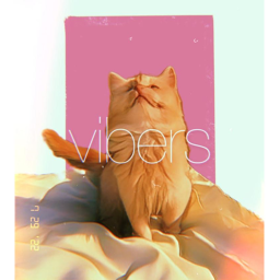 vibes homestore !