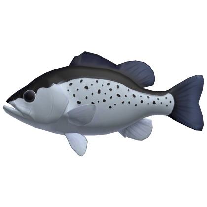 Fish Snack Cat Toy V2 Roblox item