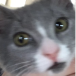 Iᴍᴀɢɪɴᴇs ɢʀᴏᴜᴘ <3