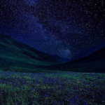 SHINING STARS¹