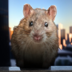 RatArmyPlace