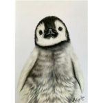 Penguins And Skywars
