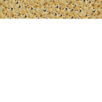 shake and robux