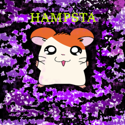 Hamsta