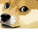 Dogeofdoge