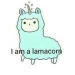 #Lama Squad Army