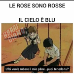 Pokko dio