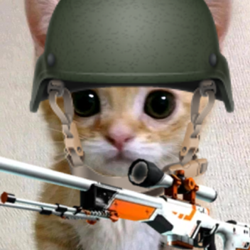 My El Gato Counter Strike