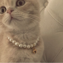 oℓd 𝓂o𝓷ey