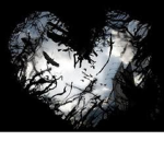 Heart of Shadows