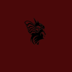 ุVALKYRIES INC.