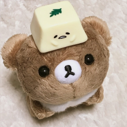 🐻