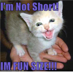 It's Good To Be Fun Size