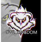 Owl Kingdom