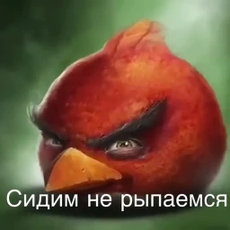 сидим не рыпаемся [OBBY] (НОВЫЙ РЕЖИМ!) icon