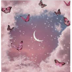 Butterfly’s are beautiful just like you! :)