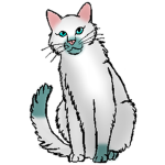 Snowstar's Cats