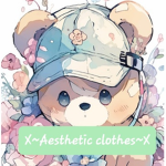X~Aesthetic clothes~X