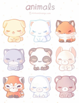 The cute zoo!