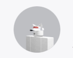 Normal cat’s group