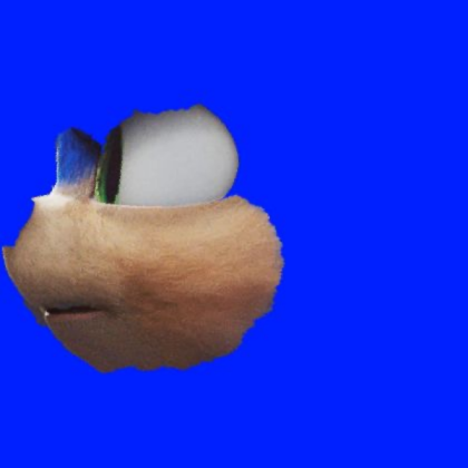 Sonic face texture Roblox decal