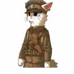 Special forces (cat)