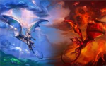 Dragon Fan Club!!!