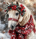 Equestrians lovers!
