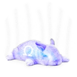 Omega Bunny