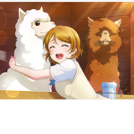 Llamas and alpacas unite