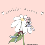 x-Aesthetic Daisies-x