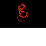 FIRE DRAGONS CRIMINAL GROUP