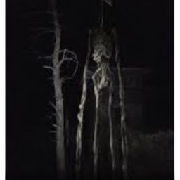 nightime neighbohood