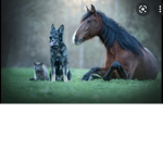 Animal crazy person