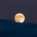 Moongrains Group Thumbnail