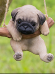 Pugs are gorgeous