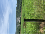 Farmer’s Fat Fields