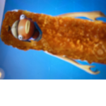 XDB314’s fishy group