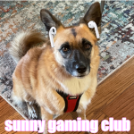 sunny's gaming club