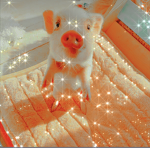 Soft_... aesthetic