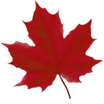 Maple Leaf Studios™