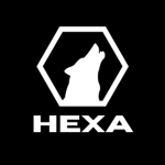 Hexa Foundation