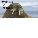 WOW (Walruses of robloxia)