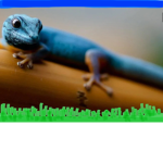 Gecko Gangsters