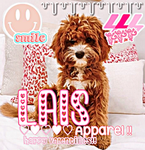- lais apparel -