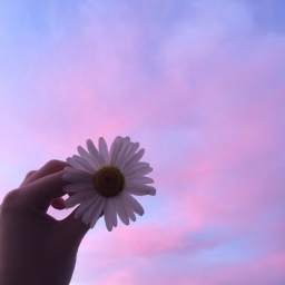 Purple vibe