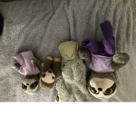 Teddy world and land