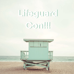 LifeGuard Con!!