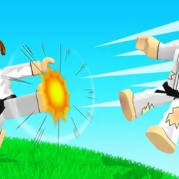 Karate Fighting Sim