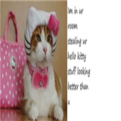Kitty That Stole Hello Kitty Clothes Roblox decal